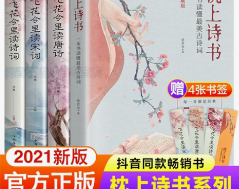 抖音同款】全套4册 枕上诗书正版飞花令里读...