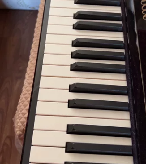 星海钢琴，几乎全新，无任何磕碰，考学的时候...