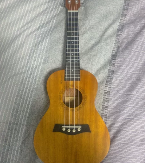 单板 尤克里里 新手练习琴  有包有变调夹...