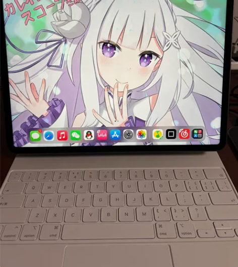 ipadpro 2021 12.9 M1 ...