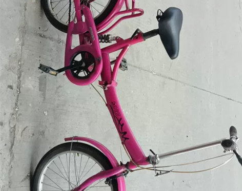 20寸折叠自行车，功能完美，实价80 感兴...