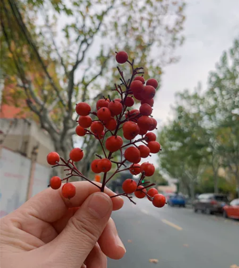 高中大学各一套军训服，一共两套ì。，身高1...