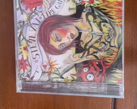 steve vai ，音像制品售出不退不换...