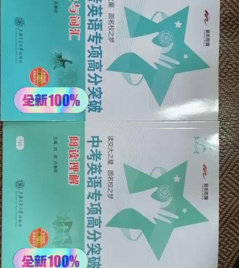 中考英语专项高分突破 语法与词汇 阅读理解...