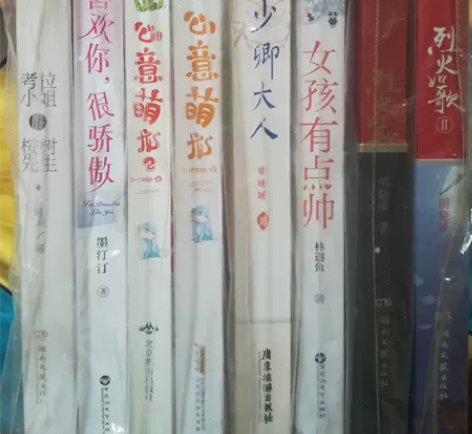 青春文学言情小说八本打包出售，沈阳自取 感...