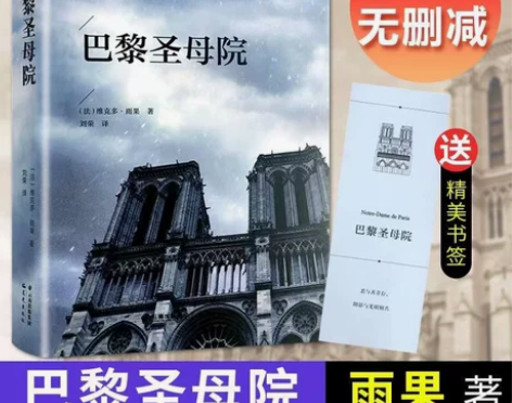 正版 巴黎圣母院 雨果原著全本无删节青少年...