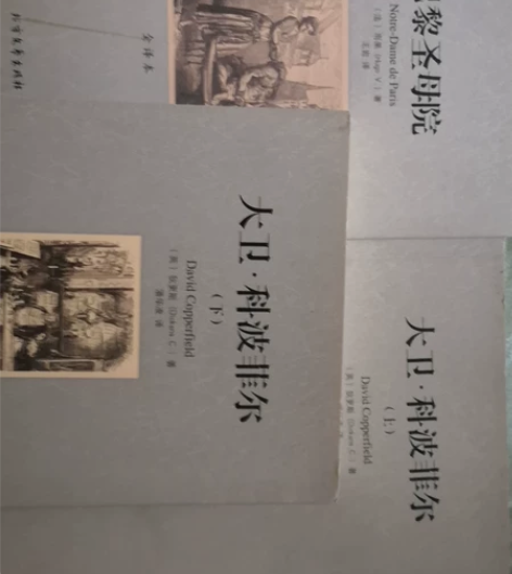 巴黎圣母院，大卫上下册 感兴趣的话点“我想...