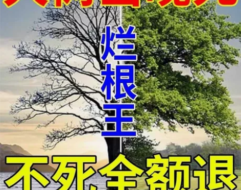 杀大树药专用药除树剂杀参天大树杀竹子烂根，...