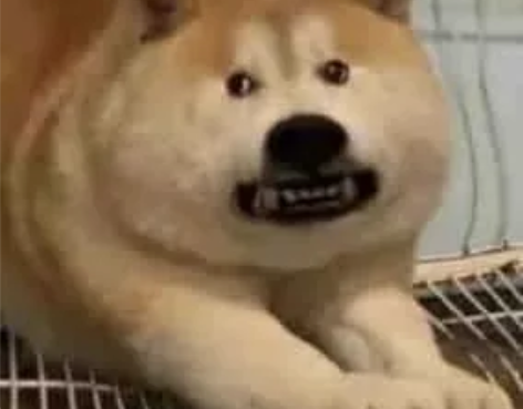 火影忍者手游安卓8s 50 感兴趣的话点...