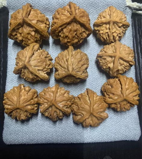 【全部全品三棱四棱】111 [1]标价即是...