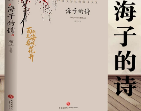 海子的诗 现当代文学海子诗经典诗歌全集书籍