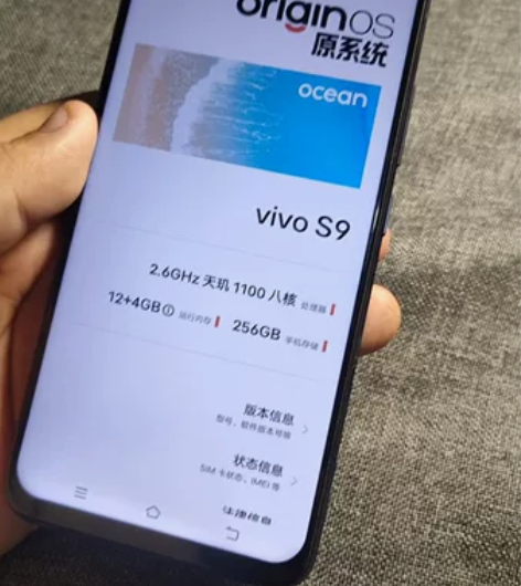 vivos9 vivos9   12加25...