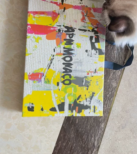 APMMonaco 手拿包，全新未使用。 ...