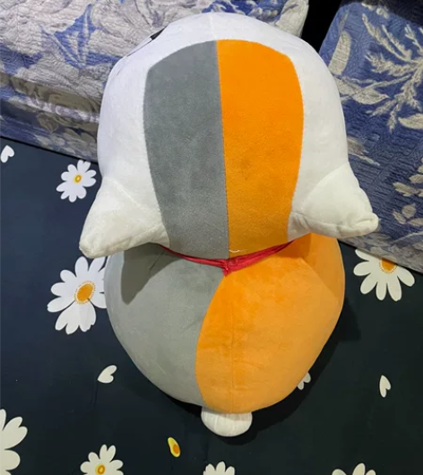 猫咪老师 娘口三三 30元出 感兴趣的话点...