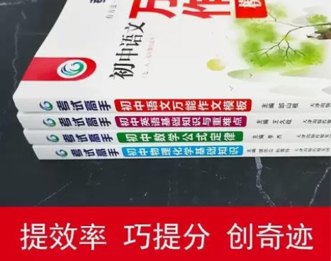 李老师推荐考试高手初中数学英语语文物理化学...