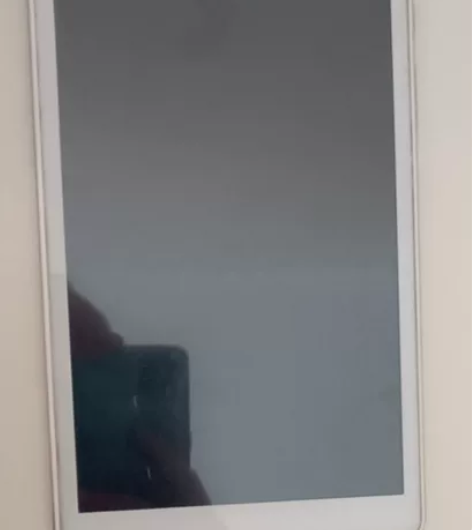 小爱英语和语文阅读，便宜处理裸机，机子都是...