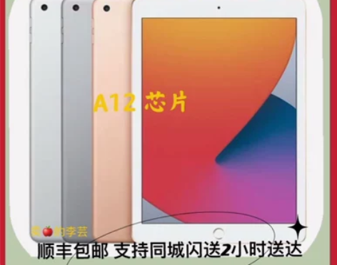 Apple/苹果10.2 英寸iPad 2...