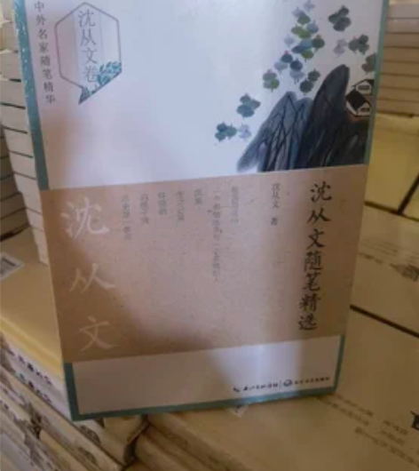 正版书沈从文随笔精选 沈从文 文学中国现当...