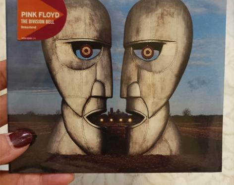 平克 Pink Floyd The Div...