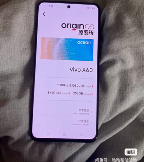 vivox60，8+256g，没有拆修过，...