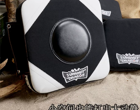SUMMITDRAGON 咏春拳靶 泰拳贴...