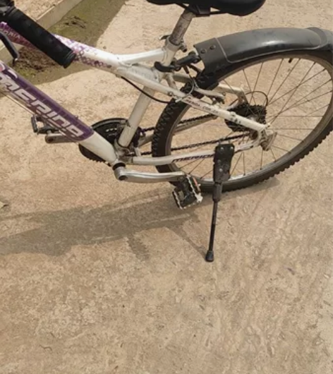 美利达自行车，维多利亚女王版，闲置，型号是...