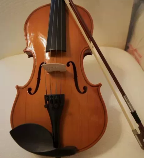 4000入手的4/4小提琴，买了几乎没弹过...