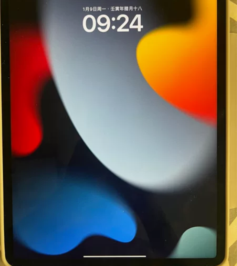 iPad Pro2021 12.9寸 自用...