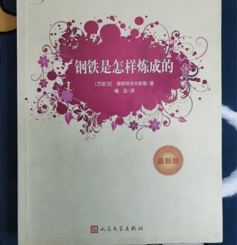 书名:钢铁是怎样练成的 出版社:人民文学出...