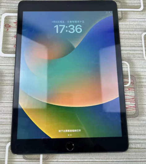 iPad(2021)wifi+插卡256G...