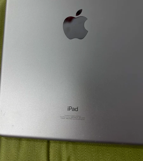 ??因经济紧张，出2019款 iPad 平...