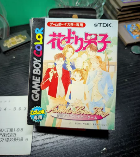 gb卡 gbc卡 流星花园 新爱情故事 ...