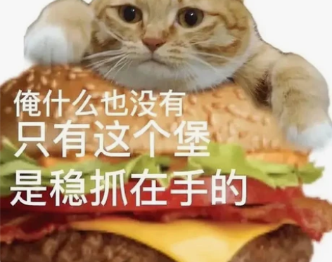 中文音乐剧罗密欧与朱丽叶场刊 75包邮啊啊...