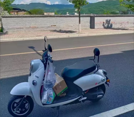 台铃电动车 萌苏  觉得贵的就不要私信了 ...