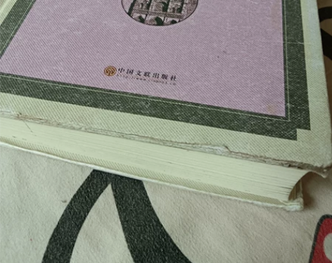 书本《巴黎圣母院》全译本 书皮有些划痕和破...