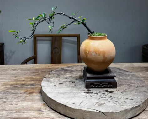 意境款侧飘海岛春花 感兴趣的话点“我想要”...