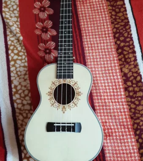 尤克里里一把，全新，没用过。无锡。 感兴趣...