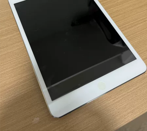 ipad mini 一代16g 箱说在,充...