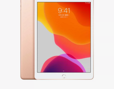 自用Apple/苹果 平板电脑2019款i...