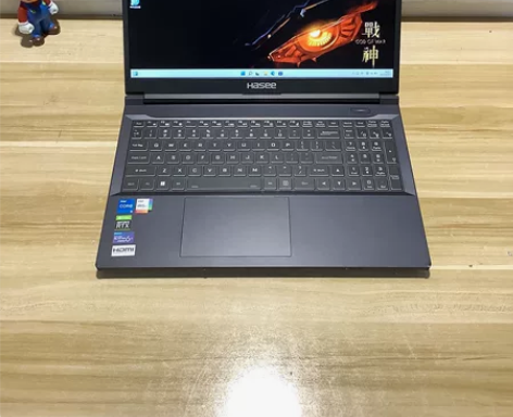 神舟战神z8-da5np 独显rtx306...
