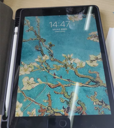 ipad 2020 充电次数不过120 ...