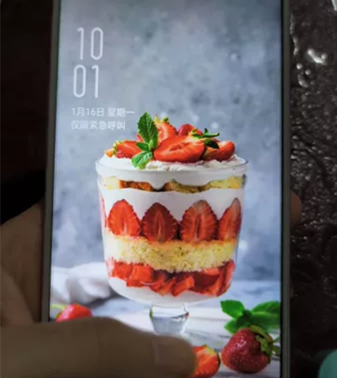 OPPO R11s plus 6+64 8...