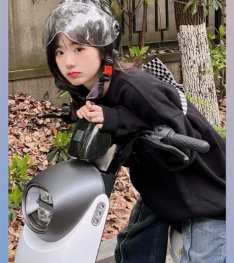 哈啰棒途E6 E7 E10 E13 D30...