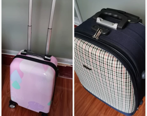 两个拉杆箱，都有点特别。蓝格子的特别之处是...