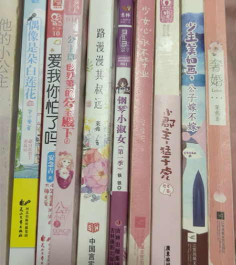 言情小说  甜宠青春校园 都市，9成新 没...