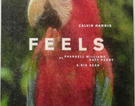 Picture Disc｜Calvin##...