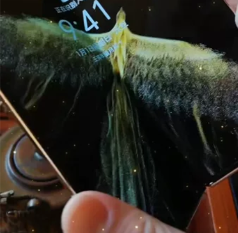 荣耀折叠屏VS，12+256，大全套激活没...
