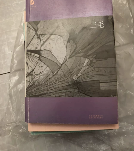 三毛全集共11本 感兴趣的话点“我想要”和...