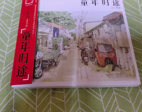 王小熊猫 童年归途 纸盒首版 童年归途 感...