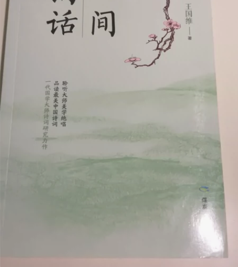 王国维 《人间词话》 999新,在书店内购...